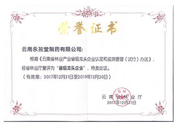 林业产业省级龙头企业证书