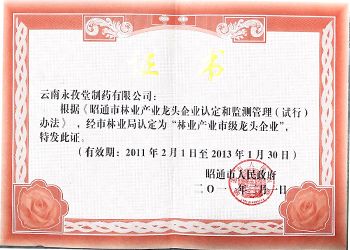 林业产业市级龙头企业