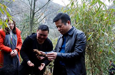 践行产业扶贫  回报昭通人民（三）