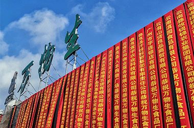践行产业扶贫  回报昭通人民（四）